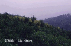 Field (Mt. Minou)