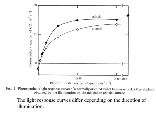 light response curves