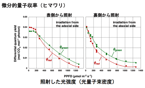 starch-iodine test