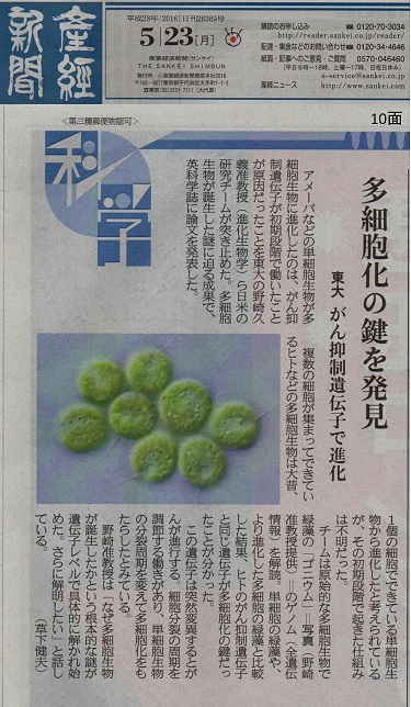 産經新聞