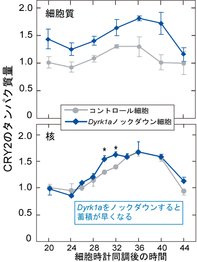 }P@Dyrk1ambN_EזEɂCRY2^pN̓ϓvt@C