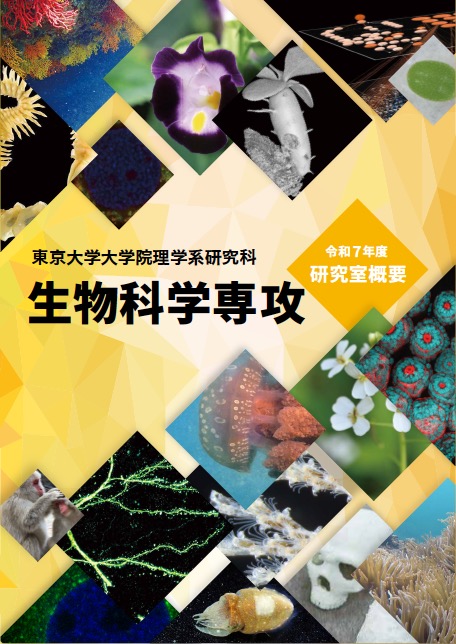 研究室概要