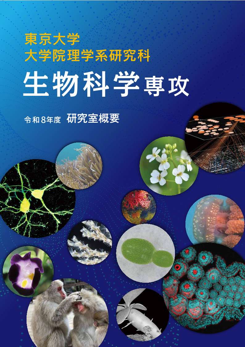 研究室概要