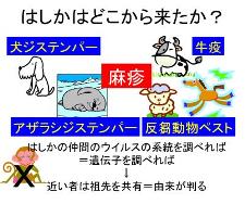 人類遺伝学Ⅰ