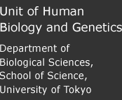 Unit of Human Biology and Genetics, Department of Biological Sciences, School of Science, University of Tokyo