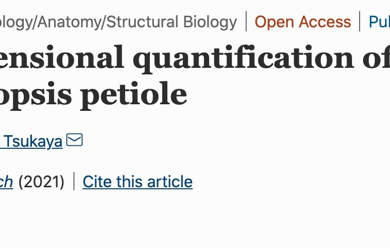 New paper on 3D quantification of twisting