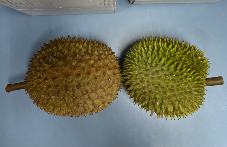 We had a Durian party!