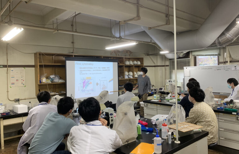 学部3年生の学生実習がありました