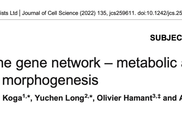 A new review paper is out