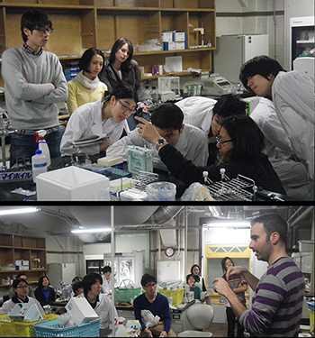 Training course