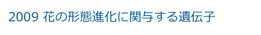 2009 花の形態進化に関与する遺伝子