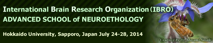 International Brain Research Organization (IBRO) 
ADVANCED SCHOOL of NEUROETHOLOGY [Hokkaido University, Sapporo, Japan July 24-28, 2014]