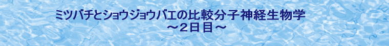 ○○学校