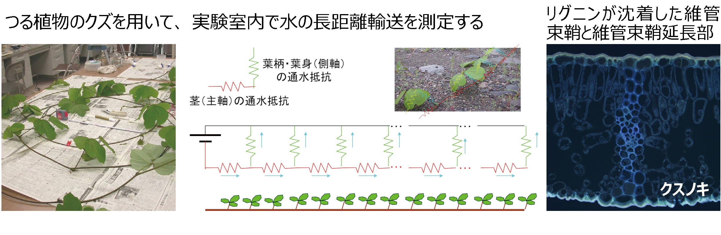 Image 4 Jpg